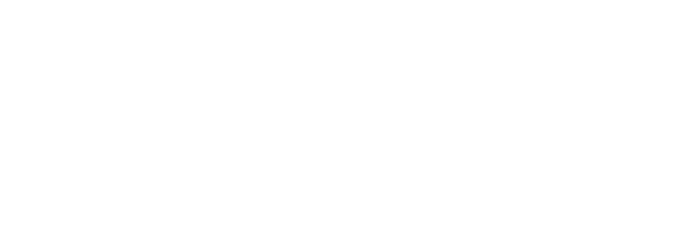 BRICS Pay Logo